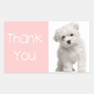 Dank u Maltese Puppy Dog Roze Sticker / Label