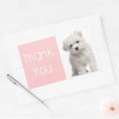 Dank u Maltese Puppy Dog Roze Sticker / Label (Envelop)