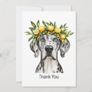 Dank u Merle Grote Deen Hond Lemon Crown Bedankkaart