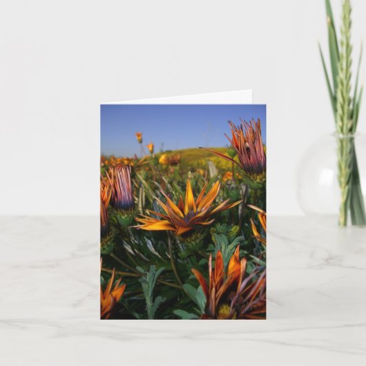 Dank u nota nemen van: Gebied van Bloemen Bedankkaart (Voorkant)