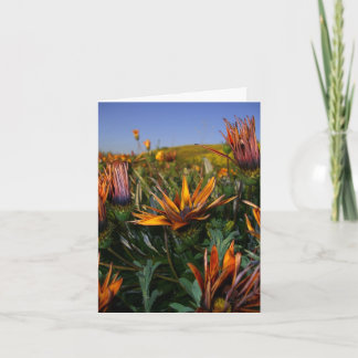 Dank u nota nemen van: Gebied van Bloemen Bedankkaart