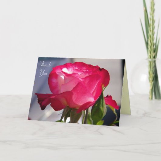 Dank u Om het even welke Occasions_Card Bedankkaart (Voorkant)