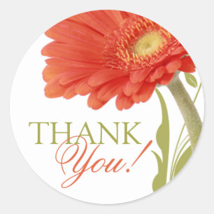 Dank u Oranje Gerbera Daisy Ronde Sticker