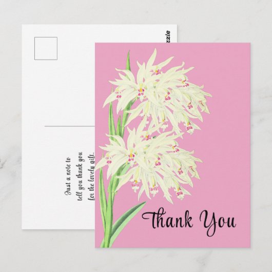 Dank u Orchid Floral Briefkaart (Voorkant / Achterkant)