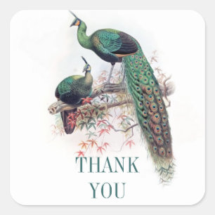 Dank u Peacock stickers voor bruiloften