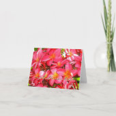 Dank u Plumeria Bedankkaart (Voorkant)