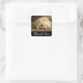 Dank u Pomeranian Puppy Dog Stickers / labels (Tas)