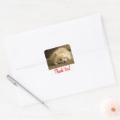 Dank u Pomeranian Puppy Dog Stickers / labels (Envelop)