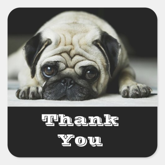 Dank u Pug Puppy Dog Groeten Sticker (Voorkant)