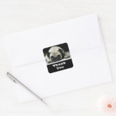 Dank u Pug Puppy Dog Groeten Sticker (Envelop)