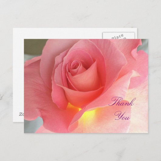 Dank u roos briefkaart (Voorkant / Achterkant)