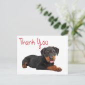 Dank u Rottweiler Puppy Dog Groeten Briefkaart (Staand voorkant)