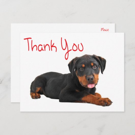 Dank u Rottweiler Puppy Dog Groeten Briefkaart (Voorkant / Achterkant)
