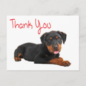 Dank u Rottweiler Puppy Dog Groeten Briefkaart (Voorkant)