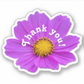 Dank u roze bloemroze bloesem sticker (Voorkant)