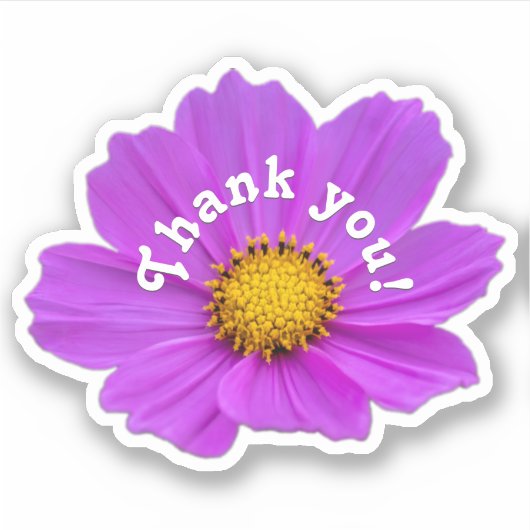 Dank u roze bloemroze bloesem sticker (Voorkant)