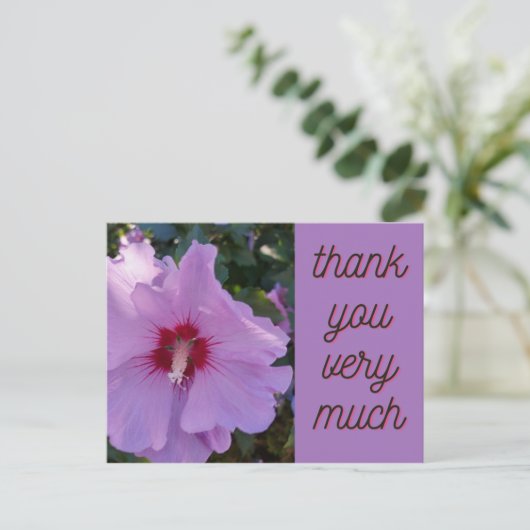 Dank u roze Hibiscus Flower Kaart (Staand voorkant)