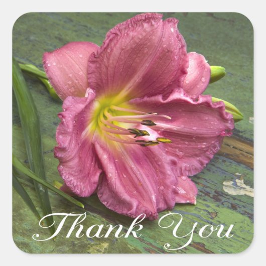 Dank U Roze Lelie Bloem Sticker (Voorkant)