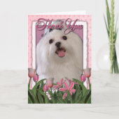 Dank u - Roze Tulpen - Maltees Bedankkaart (Voorkant)
