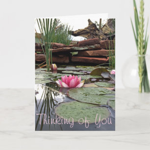 Dank u roze waterlilies Fotografie Kaart