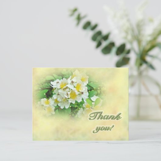 Dank u Rozen Multiflora Briefkaart (Staand voorkant)