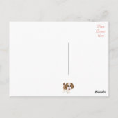 Dank u Saint Bernard Puppy Dog Post Kaart (Achterkant)