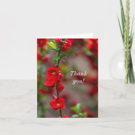 Dank u Scarlet Line Bedankkaart