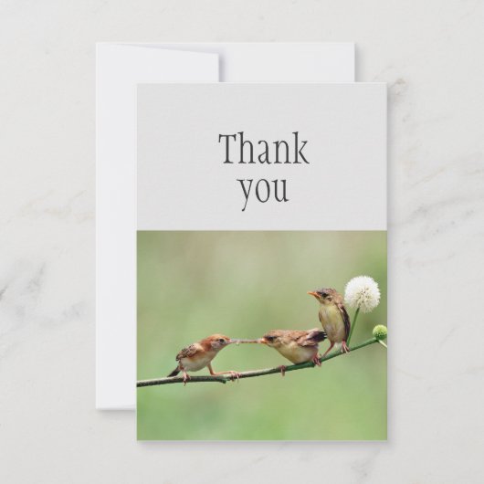 Dank u schattige vogelouder Baby Birds Bedankkaart (Voorkant)