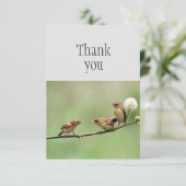 Dank u schattige vogelouder Baby Birds Bedankkaart (Staand voorkant)