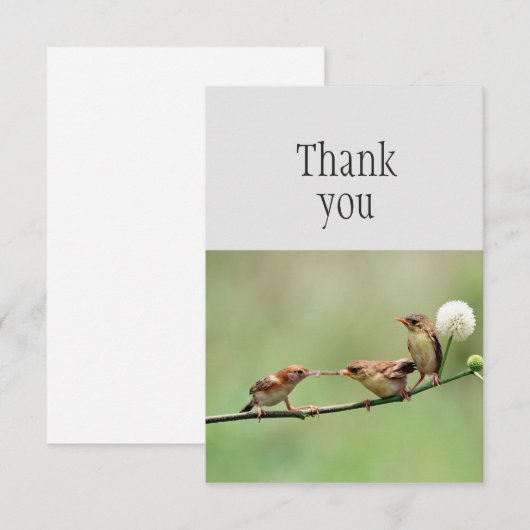 Dank u schattige vogelouder Baby Birds Bedankkaart (Voorkant / Achterkant)