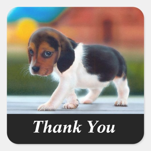 Dank u Schattigee Beagle Puppy Dog Sticker (Voorkant)