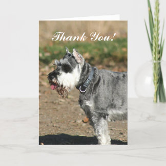 Dank u Schnauzer hond wenskaart Bedankkaart