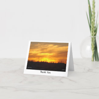 Dank u - scusset strand bedankkaart