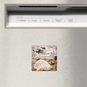 Dank u Seashells Beach Magnet (Insitu (Vaatwasser))
