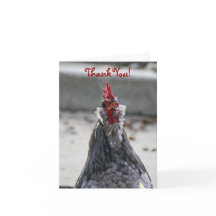 Dank u, Spatie, Haan