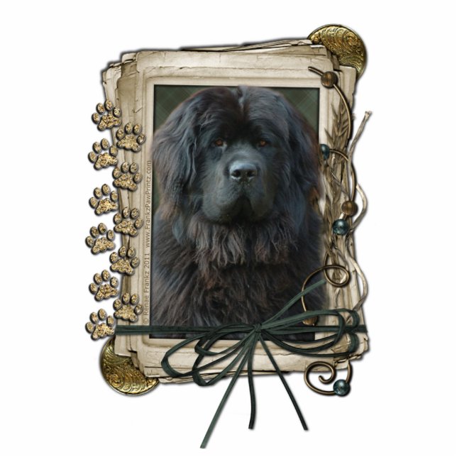 Dank u - Stone Paws - Newfoundland Staand Fotobeeldje (Voorkant)