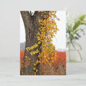 DANK U//TREE, VINE, BLUEBERRY VELDEN (Staand voorkant)
