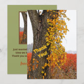 DANK U//TREE, VINE, BLUEBERRY VELDEN (Voorkant / Achterkant)