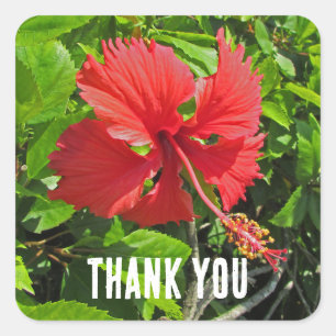 Dank u Tropical Flower Pink Floral appreciatie Vierkante Sticker