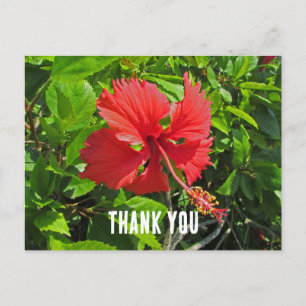 Dank U Tropische Bloem Helder Roze Bloem Briefkaart