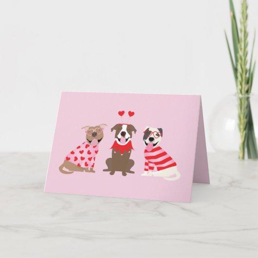 Dank u Valentijnsdag Amerikaanse Pit Bull Terrier Bedankkaart (Voorkant)