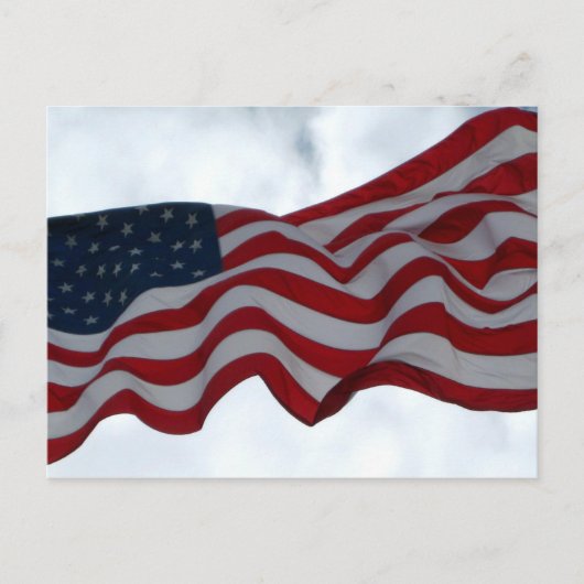 Dank u ... Veterans Day-ansichtkaart Briefkaart (Voorkant)