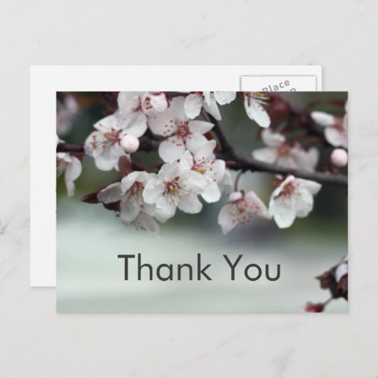 dank u voor de kaartenbloemen briefkaart (Voorkant / Achterkant)