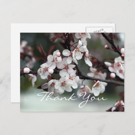 dank u voor de kaartenbloemen briefkaart (Voorkant / Achterkant)