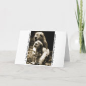 Dank u voor het Zijn Mijn Vriend, de Kaart van de (Achterkant)