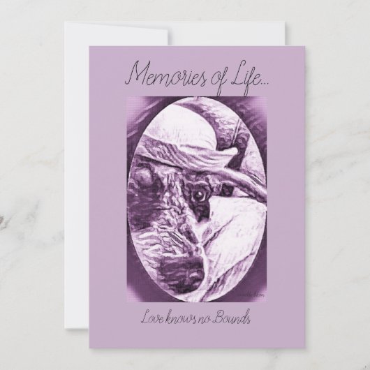 DANK U VOOR KAARTKAART - VERLIES VAN PET BEDANKKAART (Voorkant)