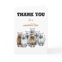 Dank u voor katten van een de prachtige