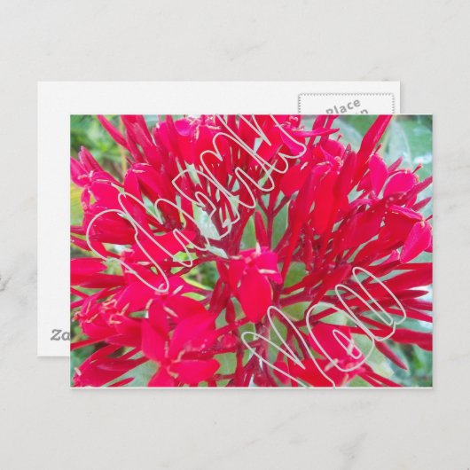 Dank u voor mooie Geweldige rode bloemen Briefkaart (Voorkant / Achterkant)