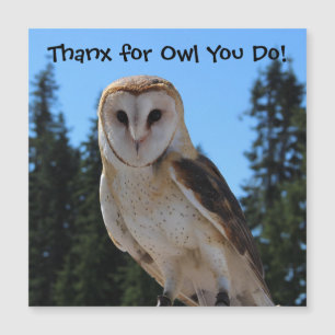 Dank u voor Owl u doet - Barn Owl Magnetic van de