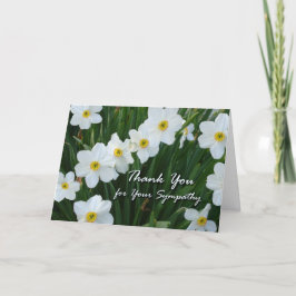 Dank u voor Sympathie, Narcissus Flowers Bedankkaart